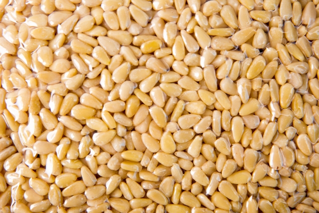 주식회사 에코포리스트,숲토리 백잣(진공팩 350g)